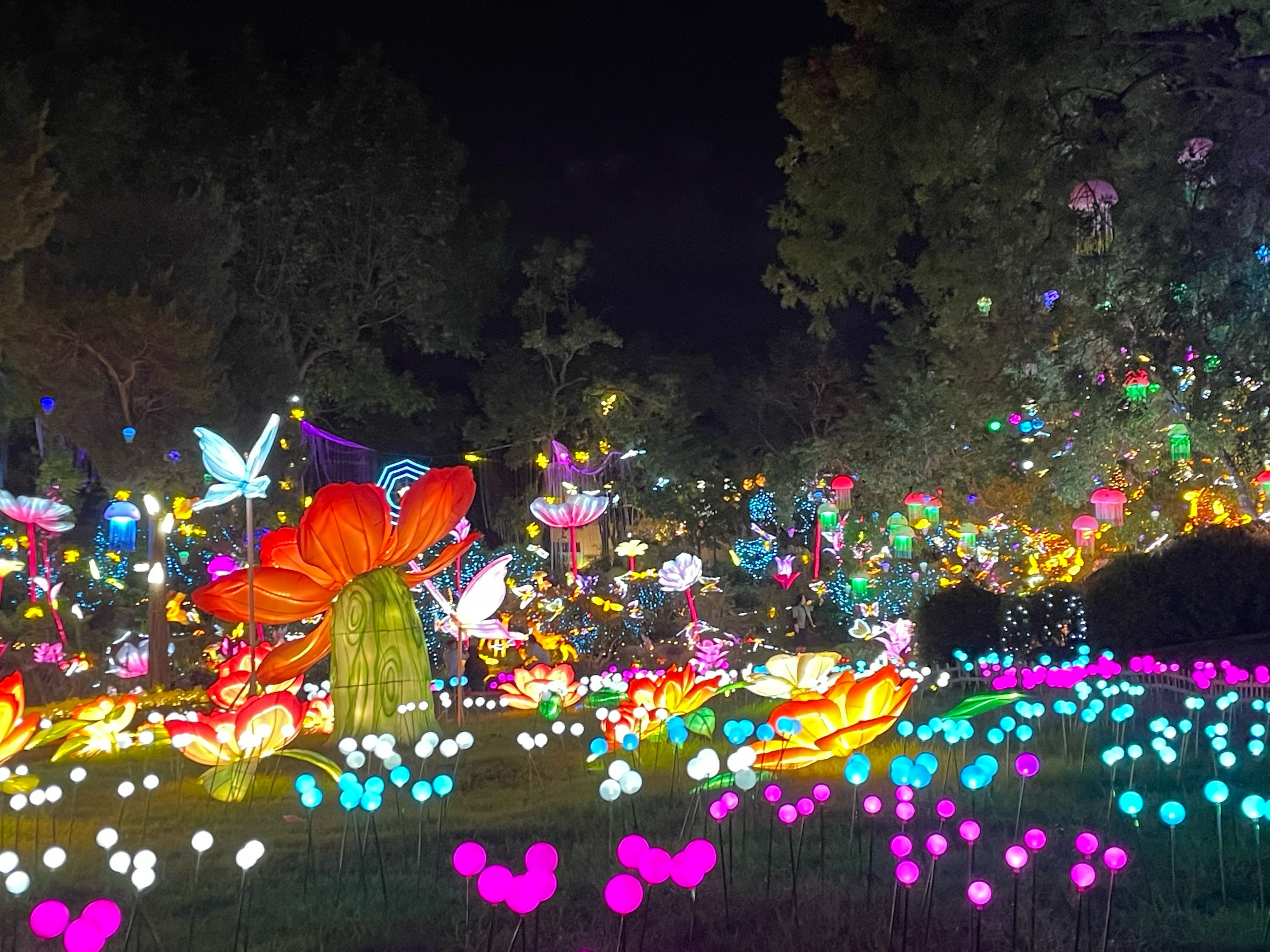 焦作月季公园灯展：弘扬彩灯公司如何用光影激活城市文化IP(图2)